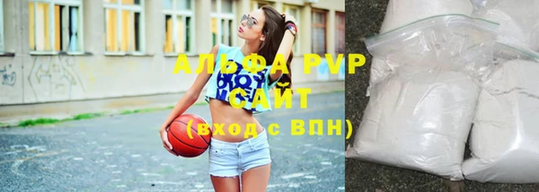 бошки Гусев