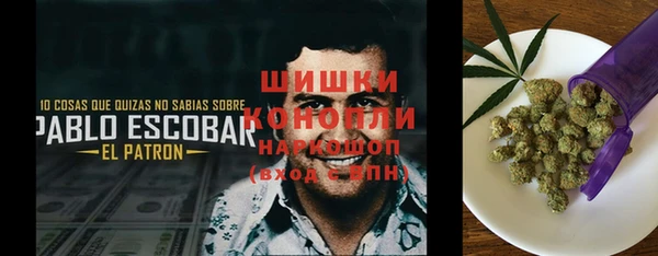 бошки Гусев