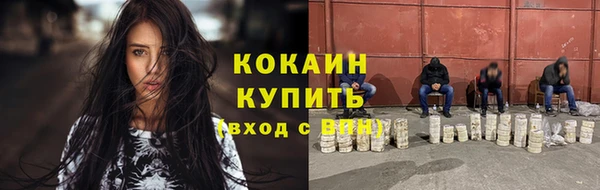 спайс Гусь-Хрустальный