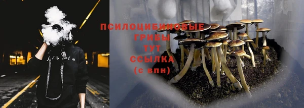 спайс Гусь-Хрустальный