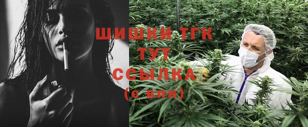 бошки Гусев