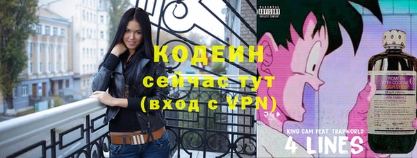 спайс Гусь-Хрустальный