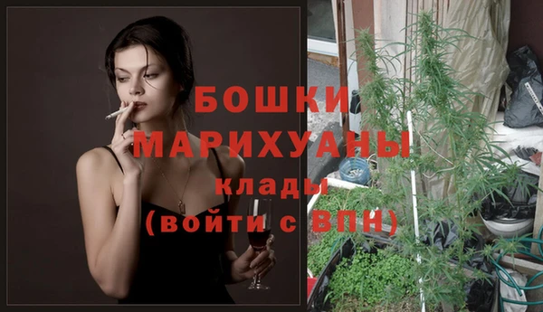 спайс Гусь-Хрустальный