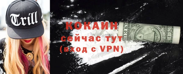 спайс Гусь-Хрустальный