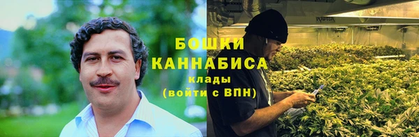 бошки Гусев