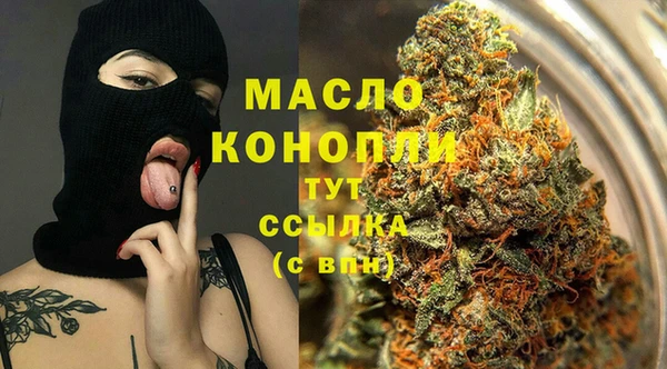 спайс Гусь-Хрустальный