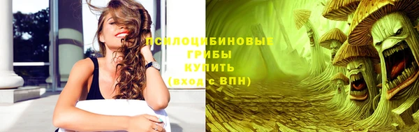 ГАЛЛЮЦИНОГЕННЫЕ ГРИБЫ Гусиноозёрск