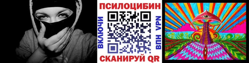 Купить закладки  Берёзовка  Псилоцибиновые грибы ЛСД 